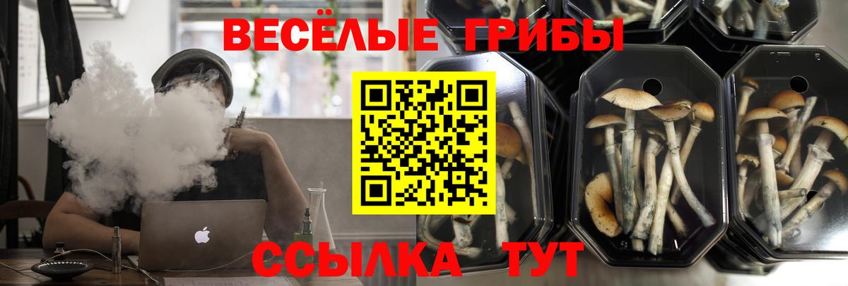 Улан-Удэ  наркошоп  Вход с VPN  Галлюциногенные грибы Psilocybe  Псилоцибиновые грибы Magic Shrooms 